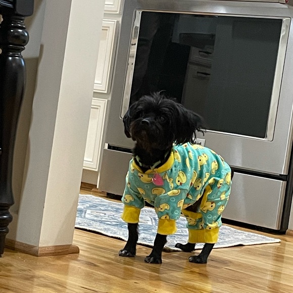 Meet your Posher, Rebecca - Picture 1 of 1